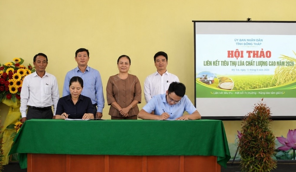Đồng Tháp Hội thảo liên kết sản xuất, tiêu thụ lúa chất lượng cao, hướng đến phát triển xanh và bền vững
