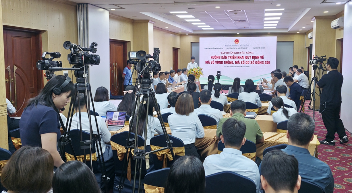 Khuyến nông hướng dẫn triển khai quy định về mã số vùng trồng, mã số cơ sở đóng gói
