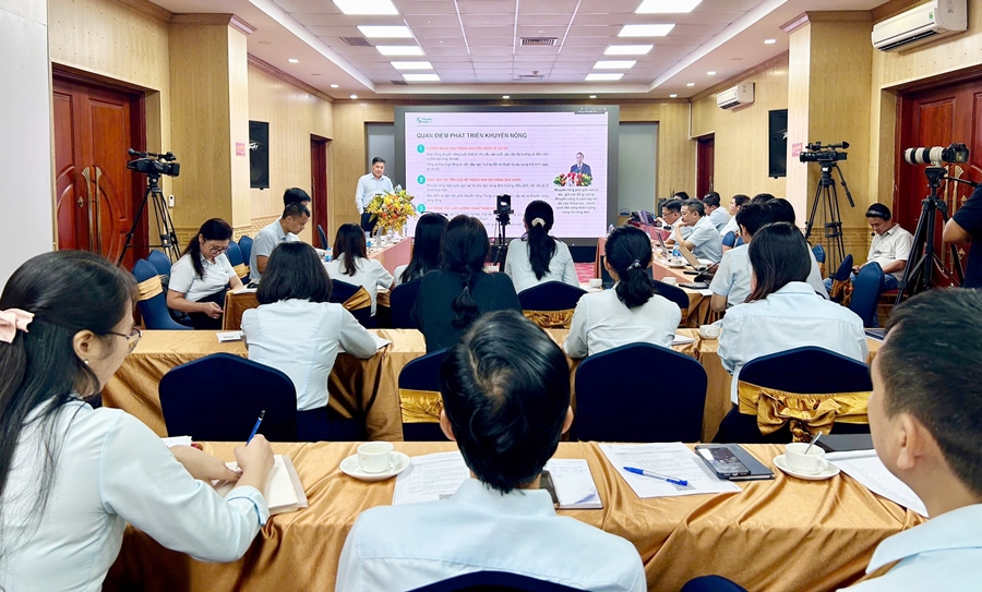 Các bước đăng ký online mã số vùng trồng, mã số cơ sở đóng gói