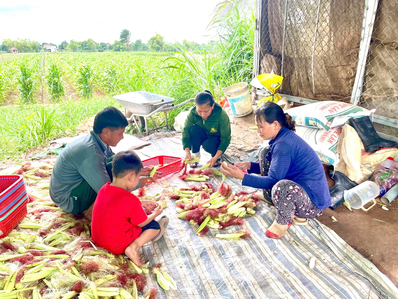 Về “cồn Én” Tấn Long nghe chuyện vượt khó của một người nông dân