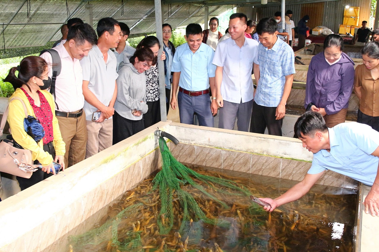 Tuyên Quang 40 học viên được tập huấn phương pháp, kỹ năng khuyến nông