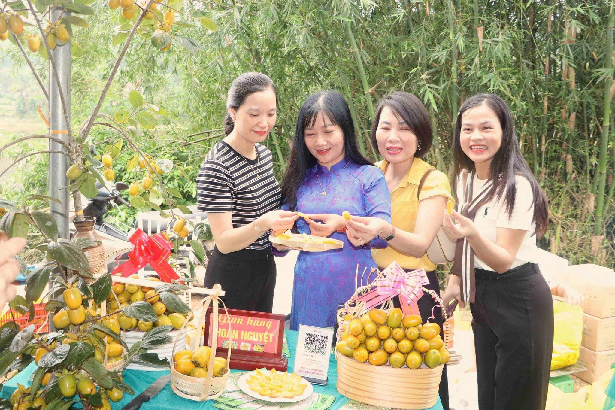 Được mùa hồng giòn Yên Du