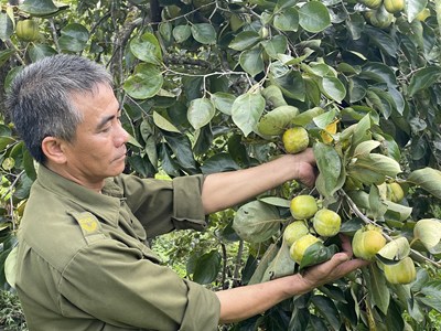 khuyennongvn.gov.vn