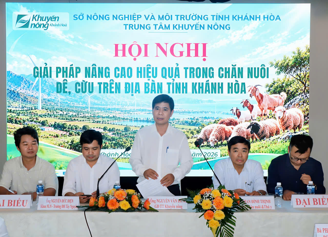 Khánh Hòa Từ mô hình khuyến nông đến phát triển dê, cừu theo hướng Halal
