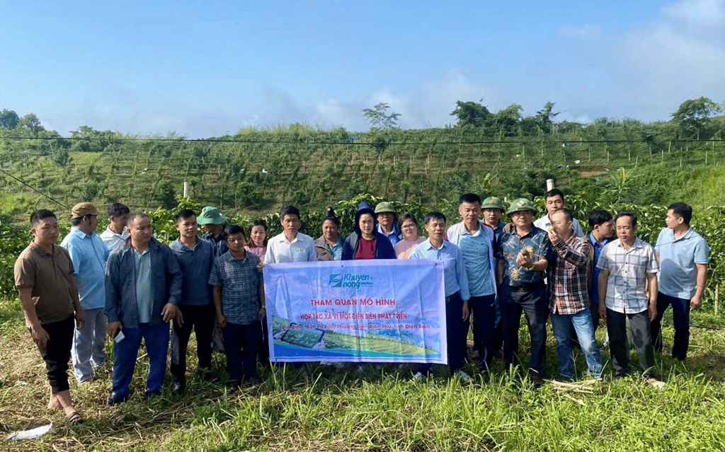 Tập huấn ứng dụng công nghệ thông tin trong sản xuất và tiêu thụ nông sản tại Lai Châu và Điện Biên