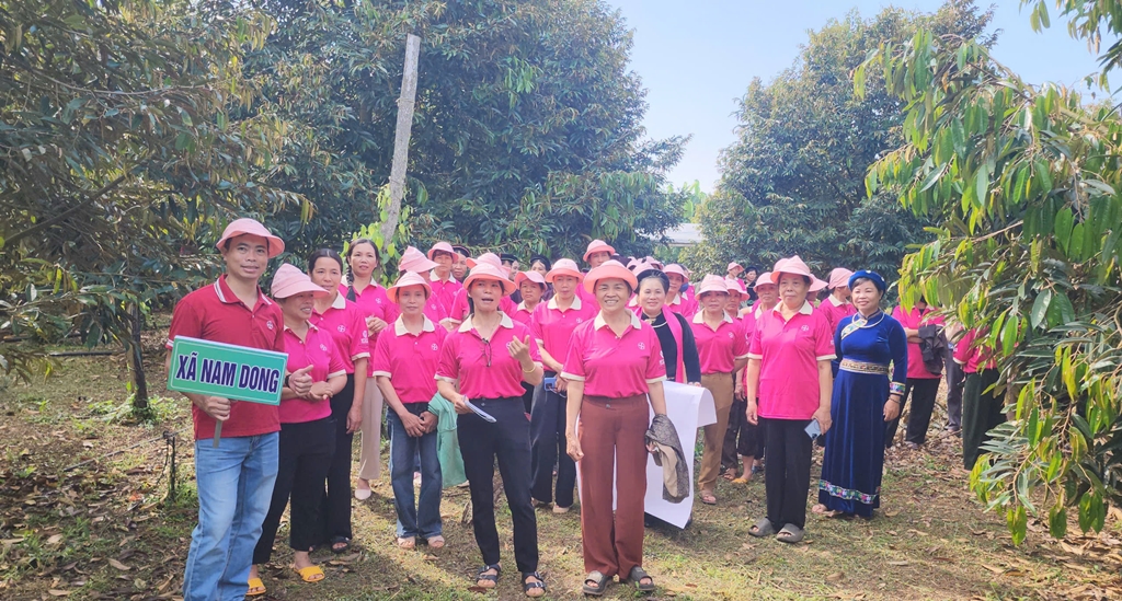 Lâm Đồng Nữ nông gia tiếp cận giải pháp canh tác bền vững