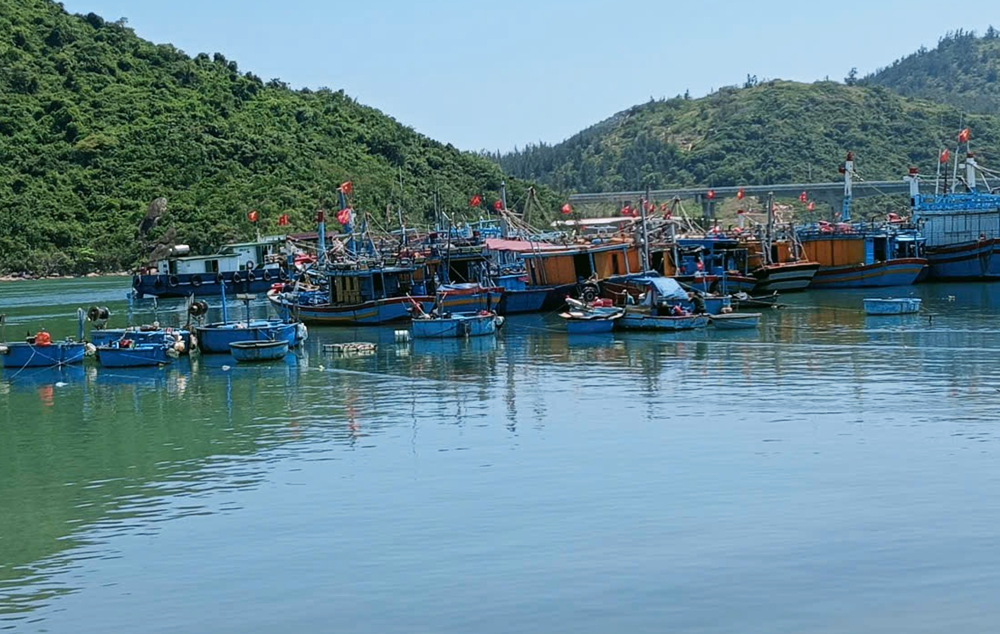Gia Lai tập trung xử lý dứt điểm các tồn tại trong chống khai thác IUU