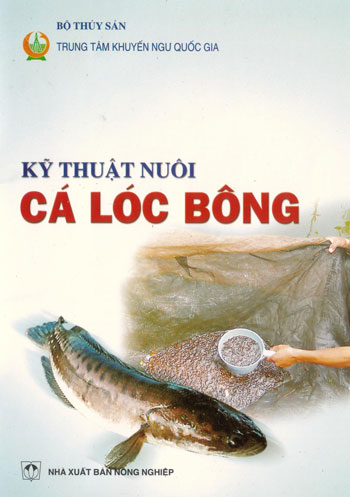 Nuôi Cá Lóc Bông Bằng Sâu Canxi Hiệu Quả Cao