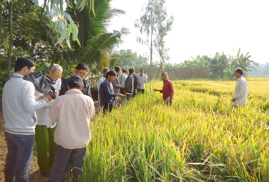 Giảm phát thải nhà kính  Hiệu quả mô hình trồng lúa 1 phải 6 giảm
