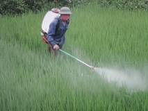 Tâm sự nông dân