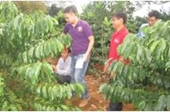 Đăk Nông Tín hiệu vui từ mô hình hợp tác công tư sản xuất cà phê bền vững PPP