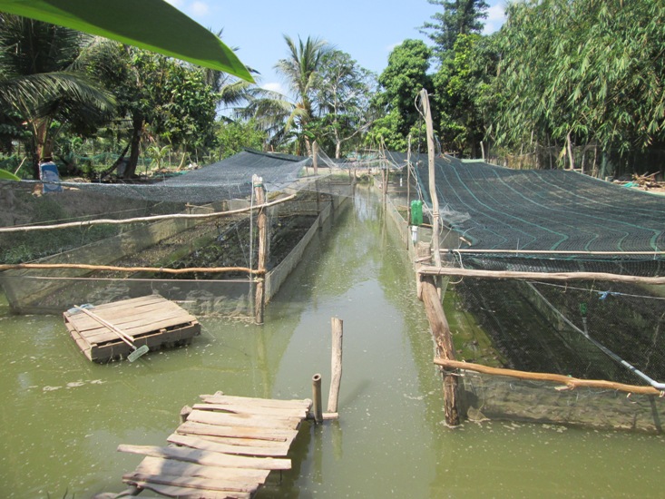 Dư địa nào cho phát triển nuôi trồng thủy sản vùng hồ chứa