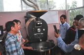 Liên kết chuỗi trong phát triển cà phê bền vững