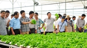 Diễn đàn ”Ứng dụng công nghệ cao trong sản xuất nông nghiệp thích ứng biến đổi khí hậu khu vực Duyên hải Nam Trung Bộ”