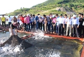 Sơn La Diễn đàn “Phát triển nuôi cá lồng hiệu quả cao, bền vững trên sông và hồ chứa vùng Trung du miền núi phía Bắc”