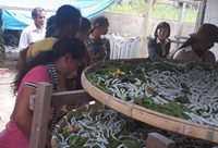 Lâm Đồng Đào tạo nghề nông nghiệp cho lao động nông thôn giai đoạn 2010 - 2018 và giải pháp giai đoạn 2019-2020