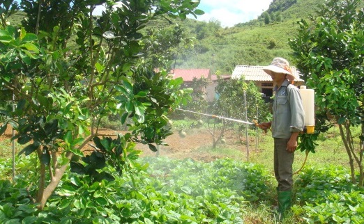 Lai Châu Tổng kết chương trình dạy nghề năm 2018