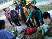 Phú Yên Mô hình tận dụng chế phẩm hữu cơ nông nghiệp để tạo phân bón hữu cơ vi sinh