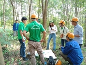 Tuyên Quang Chứng chỉ FSC- Con đường làm giàu cho người trồng rừng