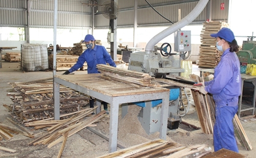 Giải pháp phát triển rừng gỗ lớn cung cấp nguyên liệu cho sản xuất đồ gỗ xuất khẩu
