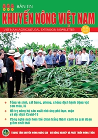 Bản tin Khuyến nông Việt Nam số 6 2020