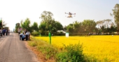 Sử dụng máy bay không người lái HLD-18 phun thuốc BVTV trên cây lúa – Giải pháp nâng cao hiệu quả sản xuất, bảo vệ môi trường và sức khỏe người dân
