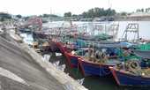 Quảng Ninh Đẩy mạnh công tác chống khai thác hải sản bất hợp pháp, không báo cáo IUU