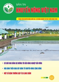 Bản tin Khuyến nông Việt Nam số 4 2022